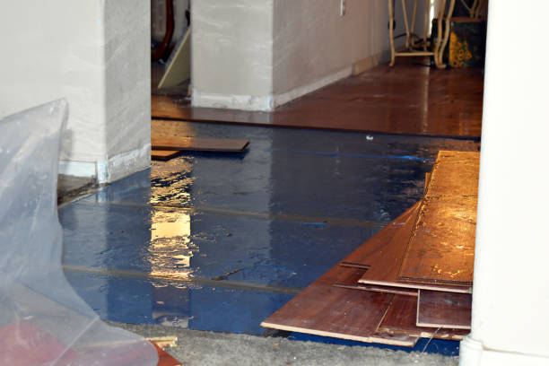 Professional Water Damage technician working in Mims, FL